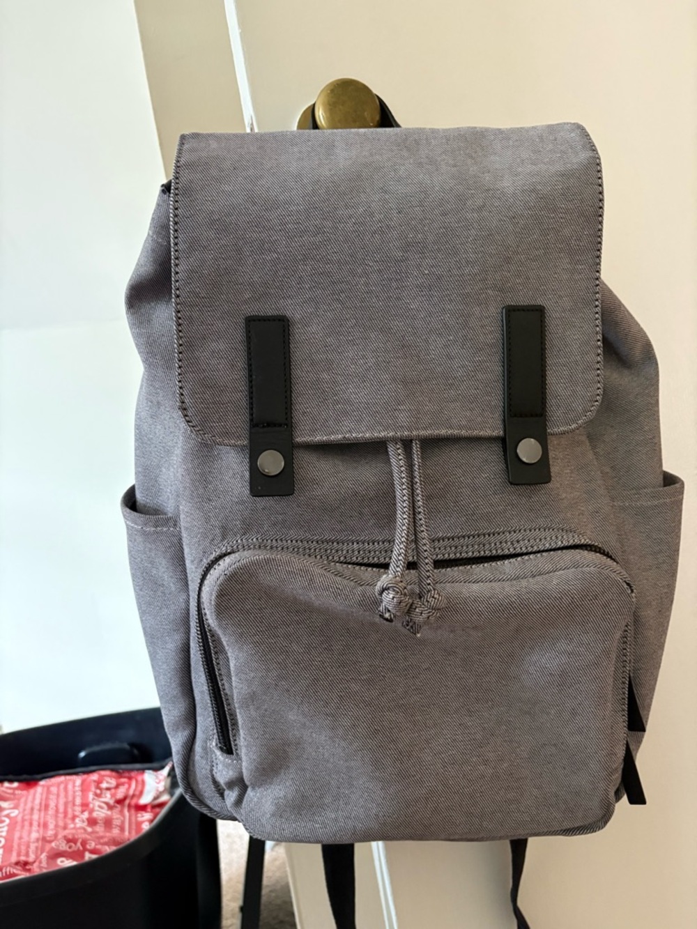 Everlane Gray Canvas Drawstring Backpack